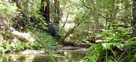 cal poly environmental management and protection|B.S. Degree Programs .